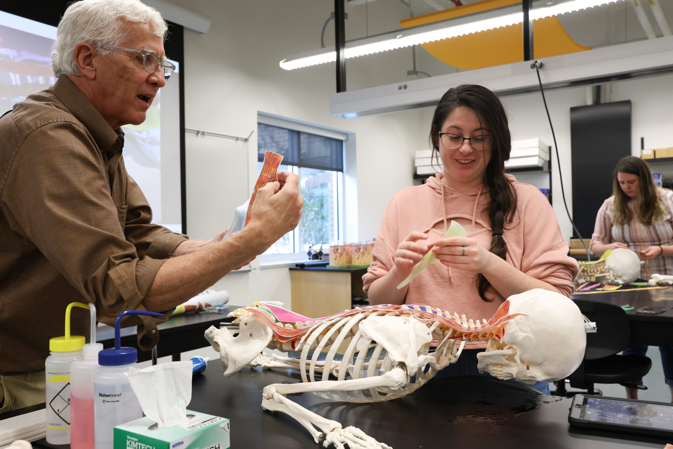 Stock photos of stem program biology with professor agnew