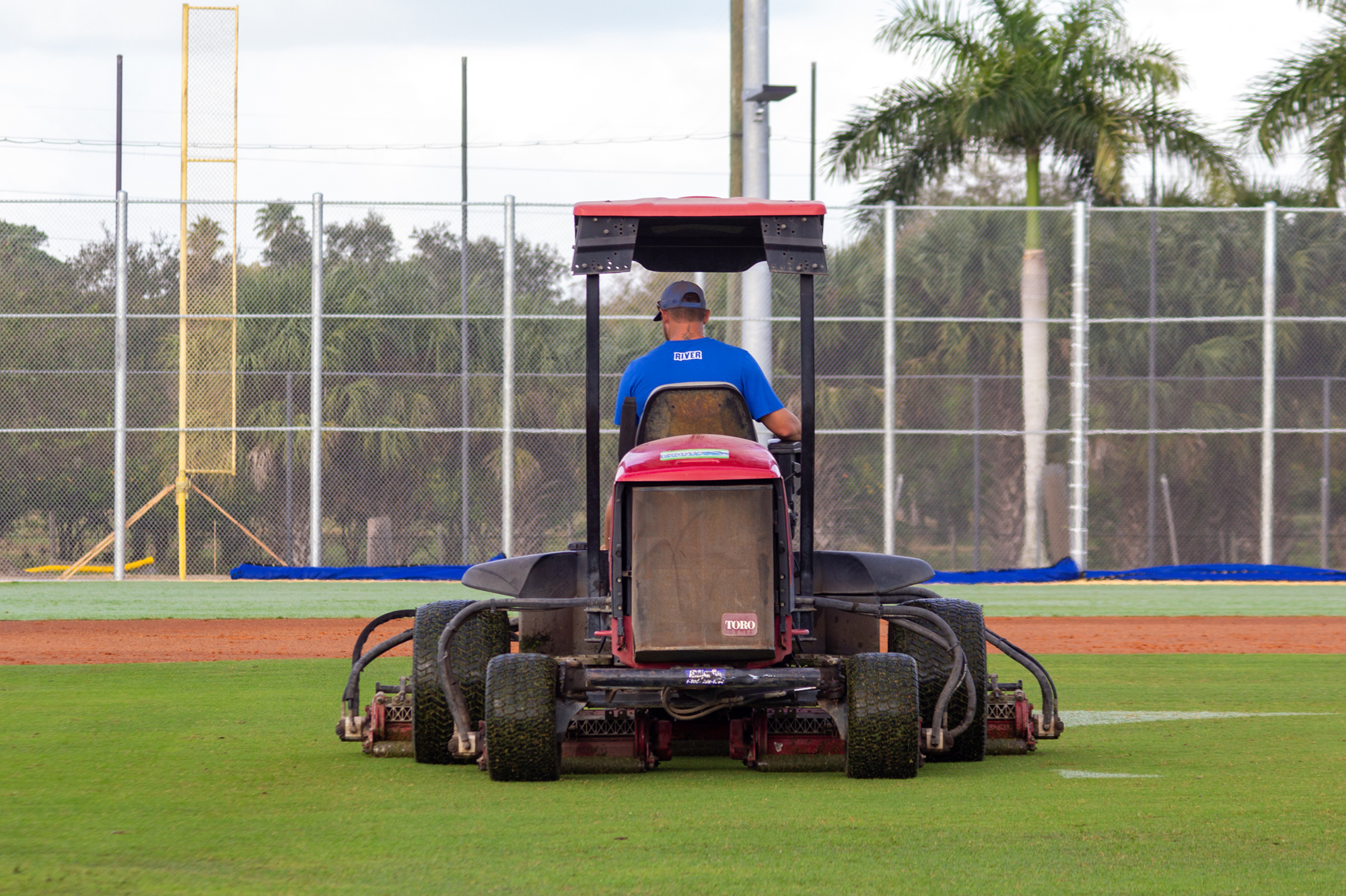 Sports turf hero