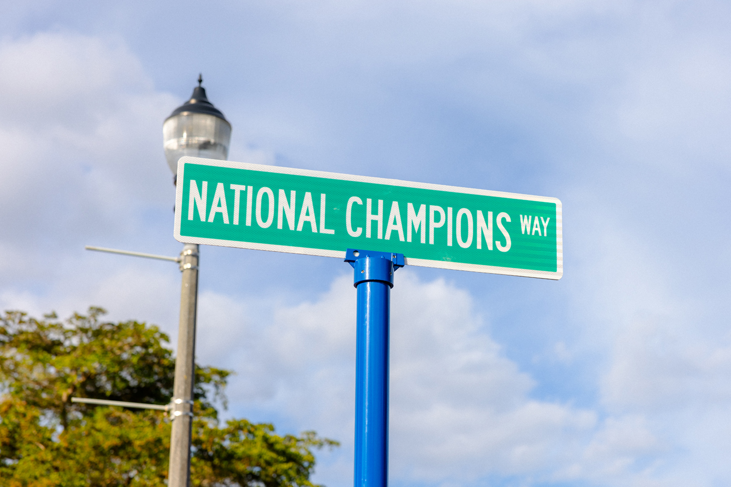 Nat champions way